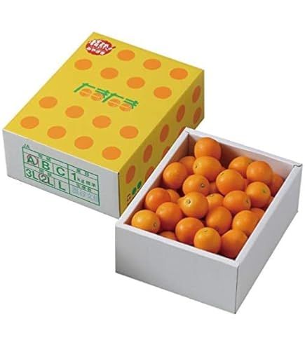 Amazon.co.jp: 【大幅値下げ！ 300円OFF！2280円→1980円！】こん太
